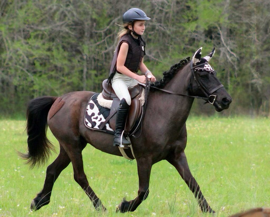 eden and black jack eden and black jack