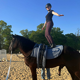 interactive vaulting summer2